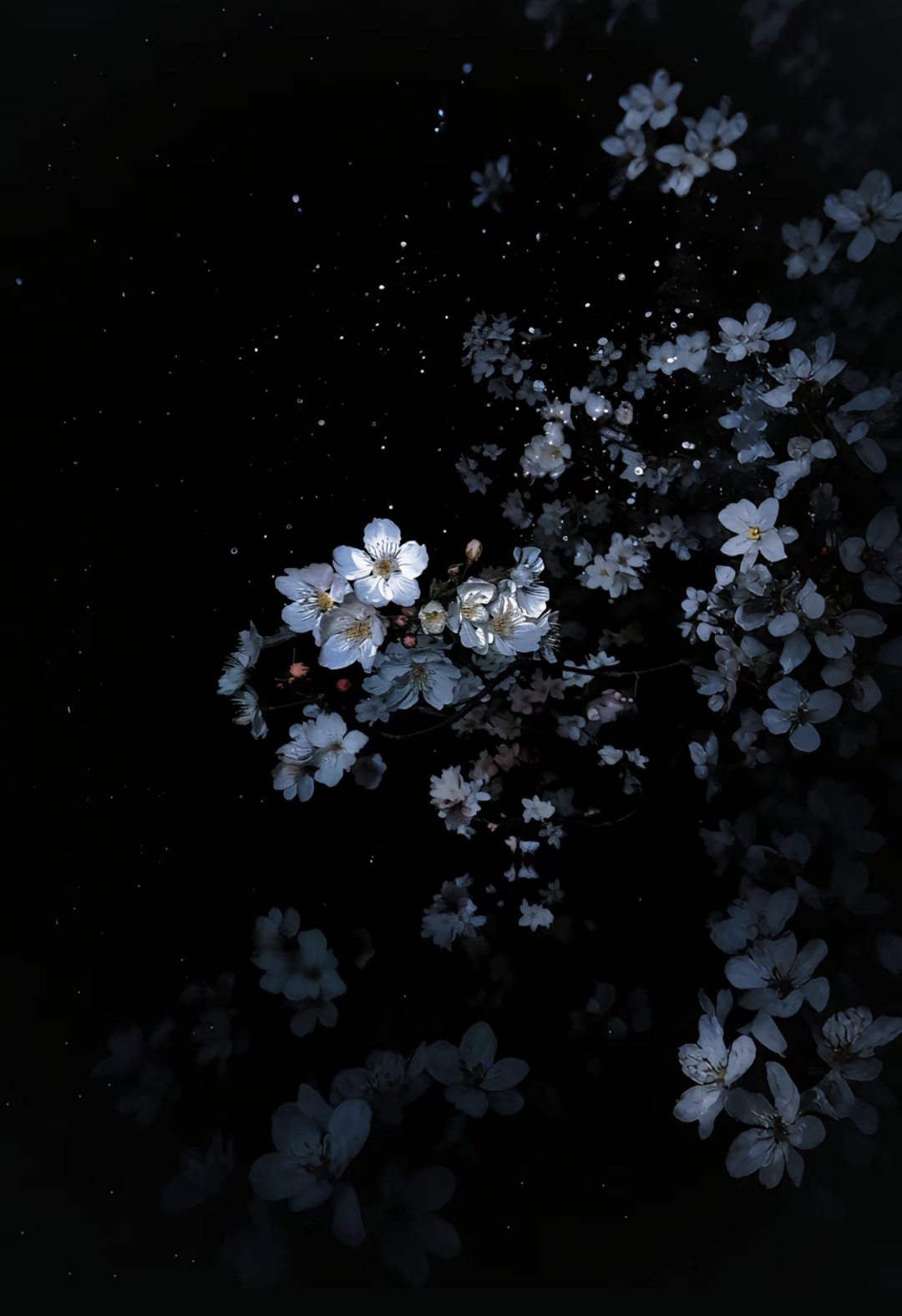 TS重写为何不用Rust或自家C++而选择Go