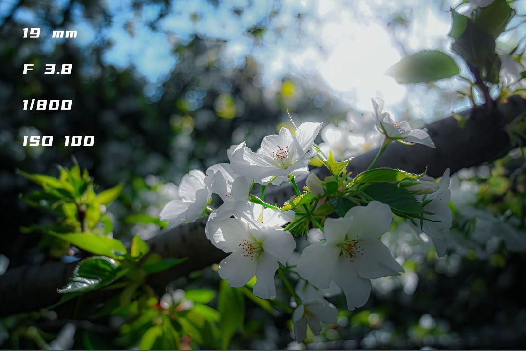 数据挖掘复习题库