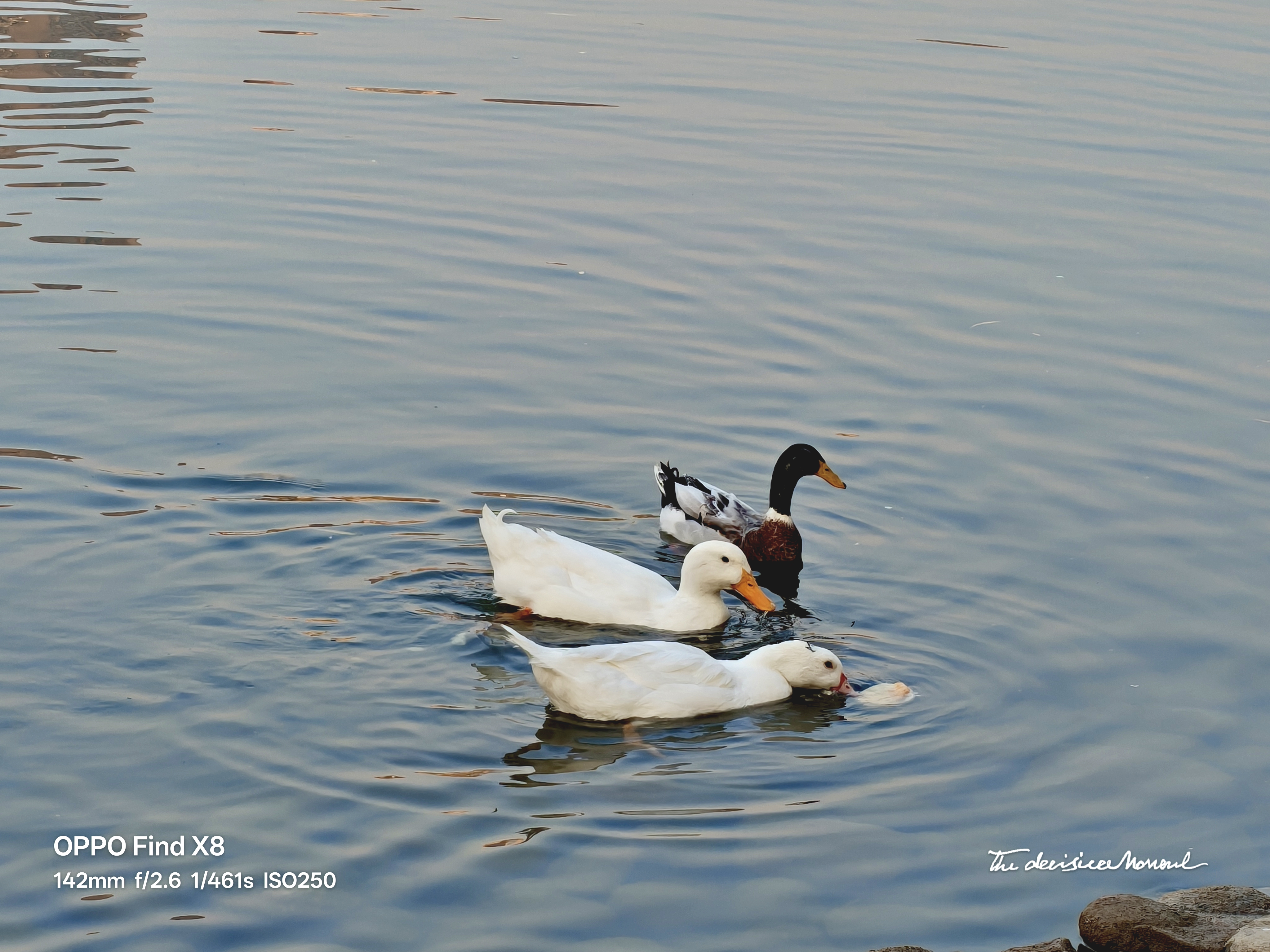 一位研发实习生的沉思