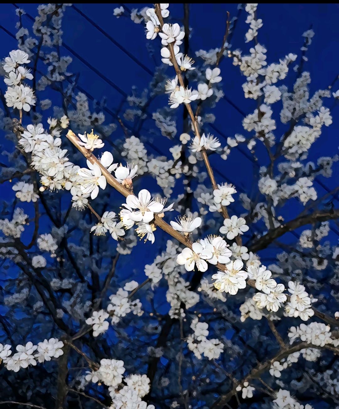 所听-所见-所思