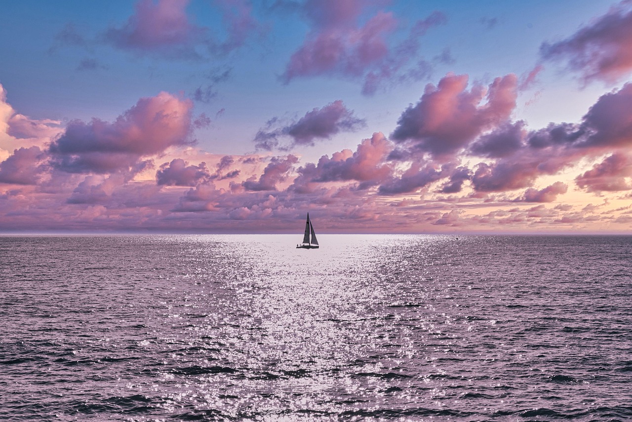 Cover Image of the Post