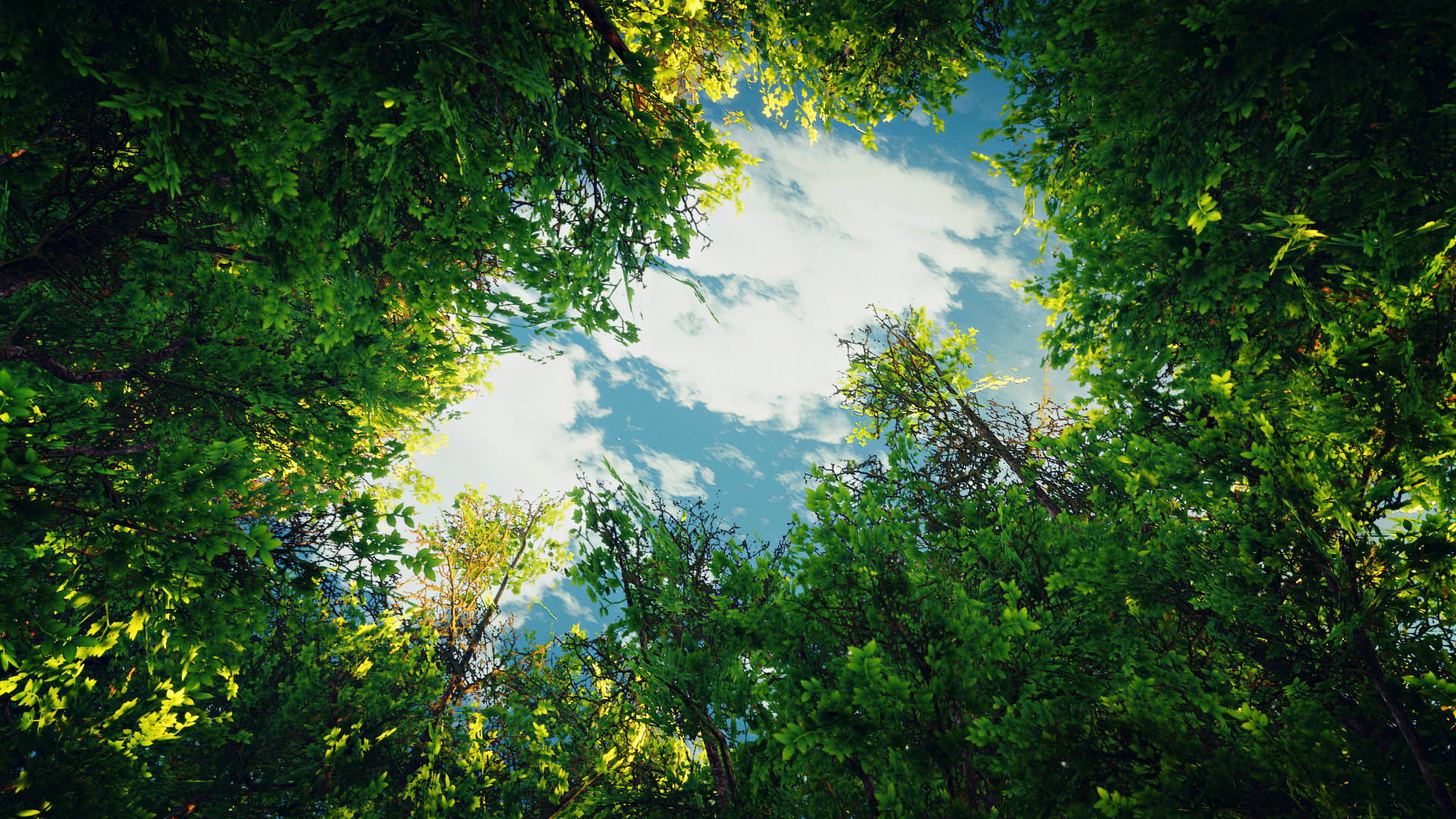 Cover Image of the Post