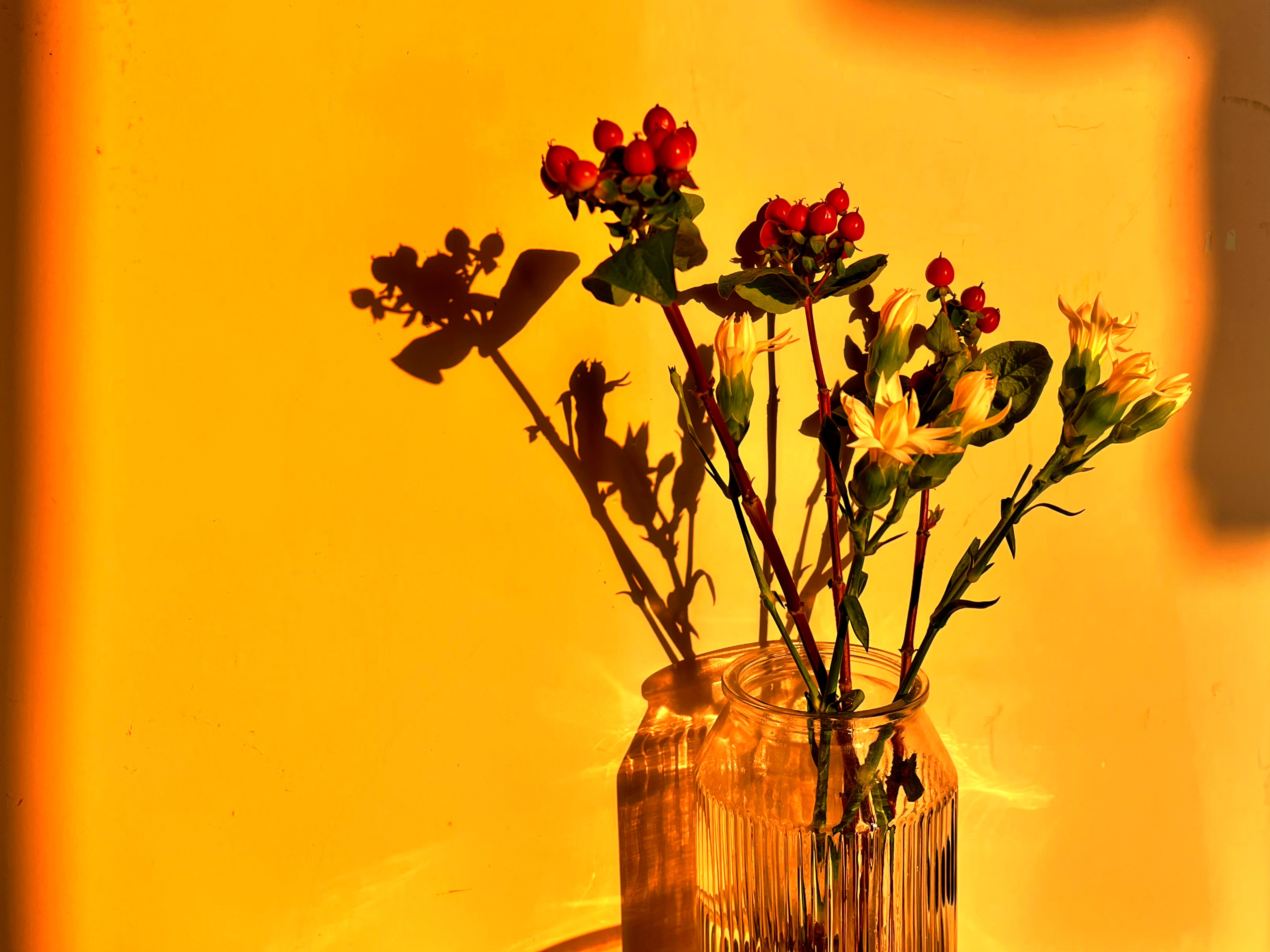 Cover Image of the Post