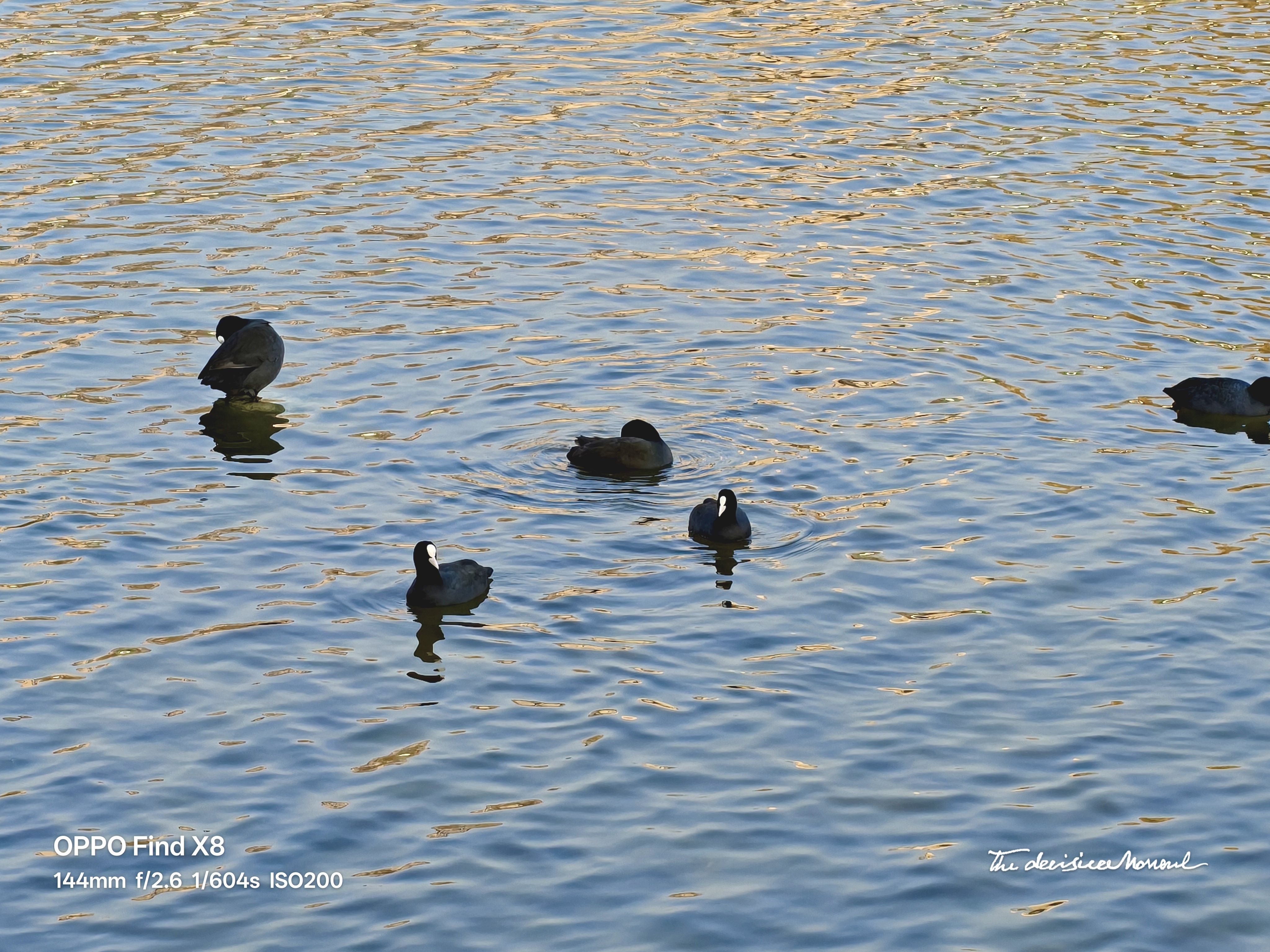 Cover Image of the Post