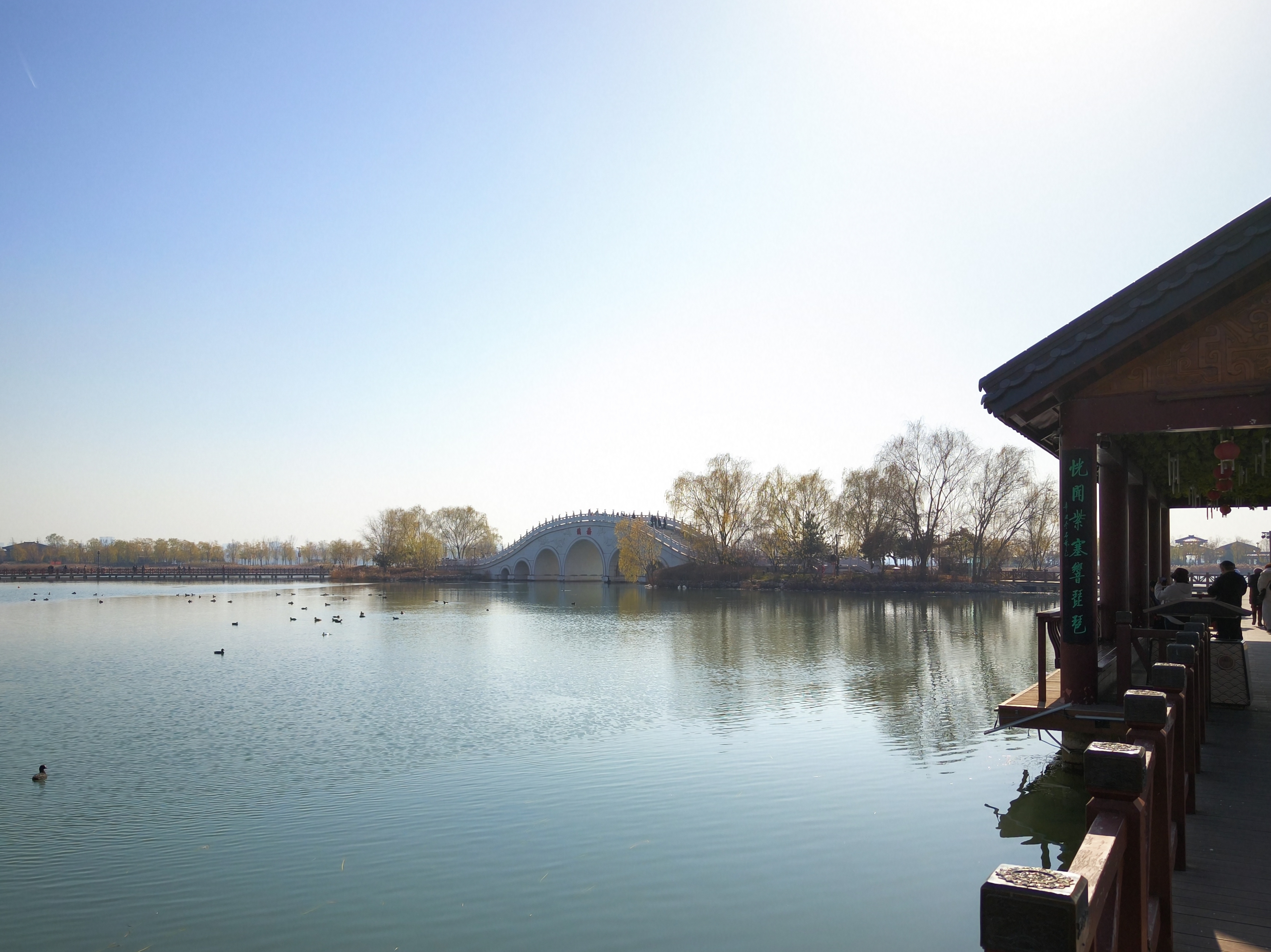 Cover Image of the Post