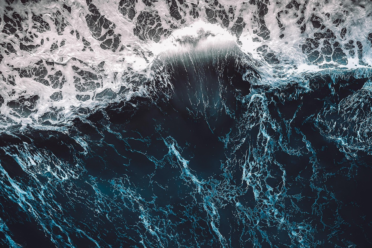 Cover Image of the Post